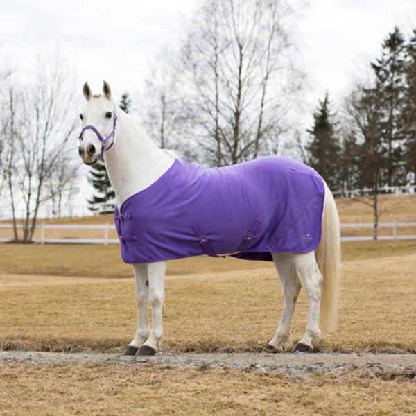 How to Shop for the Right Blanket for Your Horse