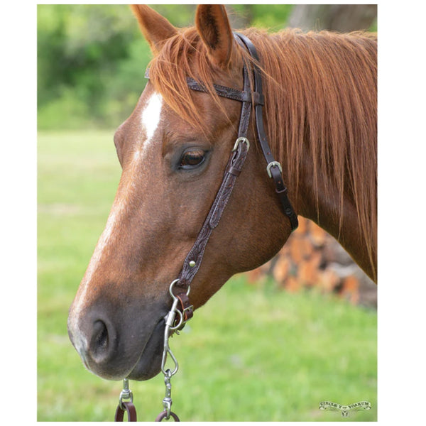0233-8341 Circle Y Floral Tooled Browband Headstall - Walnut