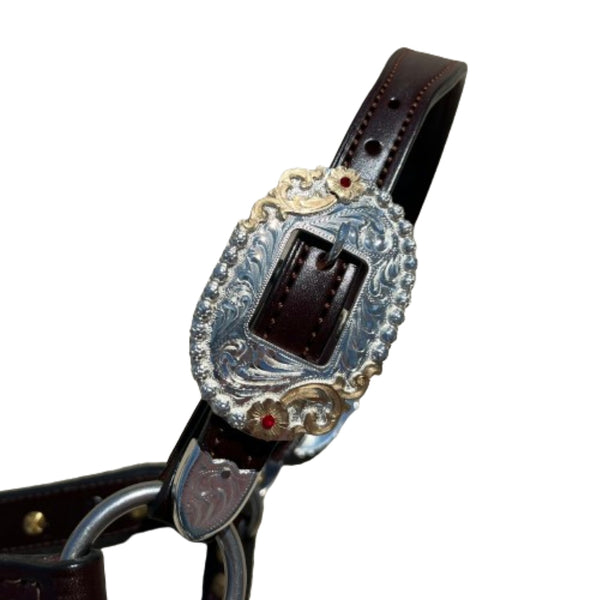 1231-210 Kathy's Show Halter Congress Cut with Red Stones - Mare