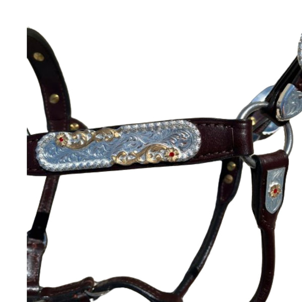 1231-210 Kathy's Show Halter Congress Cut with Red Stones - Mare