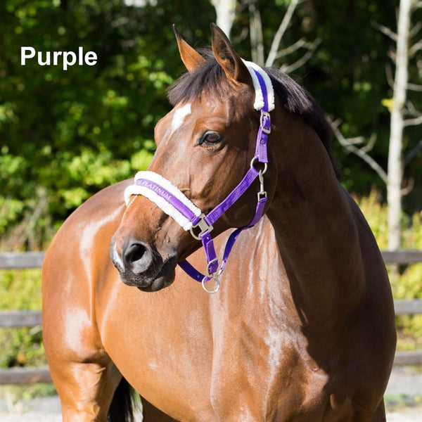 22244 Horze Howard Halter Padded