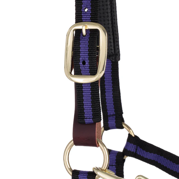 35-6065-PU Weaver Leather Padded Breakaway Adjustable Chin & Throat Snap Halter - Purple Striped