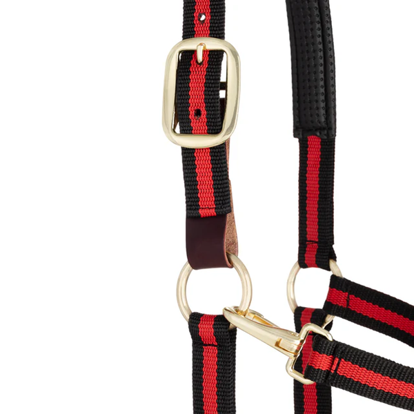 35-6065-RD Weaver Leather Padded Breakaway Adjustable Chin & Throat Snap Halter - Red Striped
