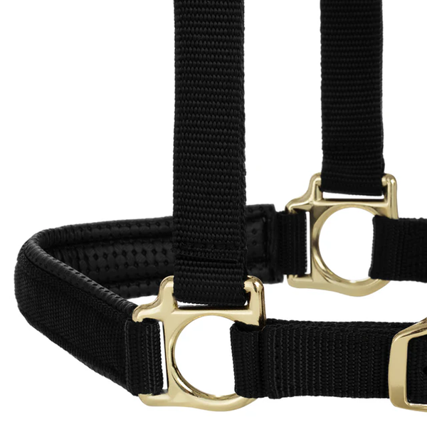 35-6075-BK Weaver Leather Padded Breakaway Adjustable Chin and Throat Snap Halter - Solid Black