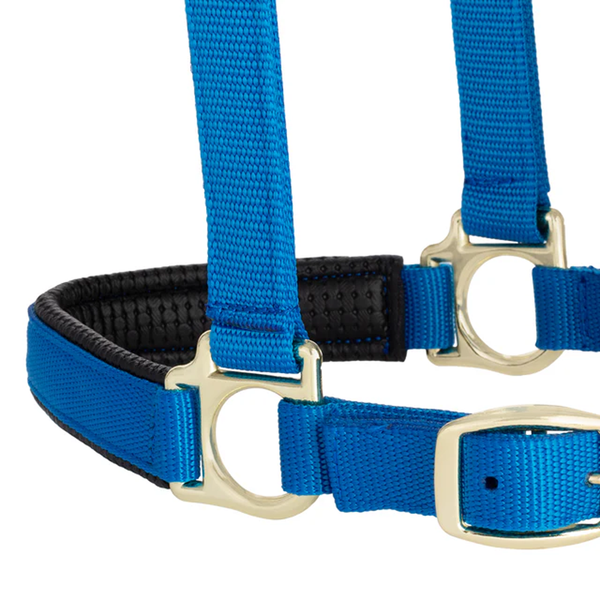 35-6075-BL Weaver Leather Padded Breakaway Adjustable Chin and Throat Snap Halter - Solid Blue