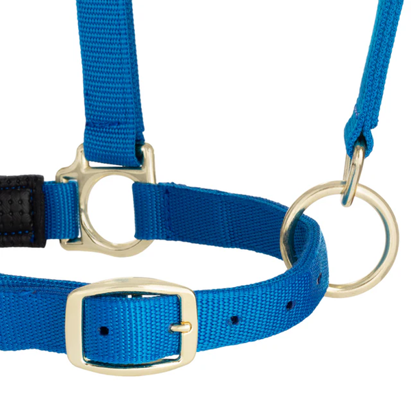 35-6075-BL Weaver Leather Padded Breakaway Adjustable Chin and Throat Snap Halter - Solid Blue