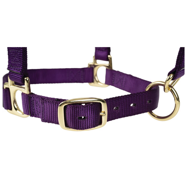 35005-50-05 Weaver Leather High Density Adjustable Chin and Throat Snap Halter - Purple