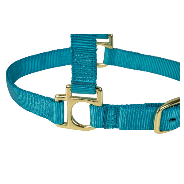 35005-50-288 Weaver Leather High Density Adjustable Chin and Throat Snap Halter - Ocean Breeze