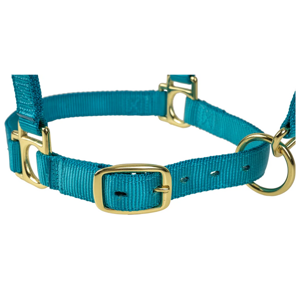 35005-50-288 Weaver Leather High Density Adjustable Chin and Throat Snap Halter - Ocean Breeze