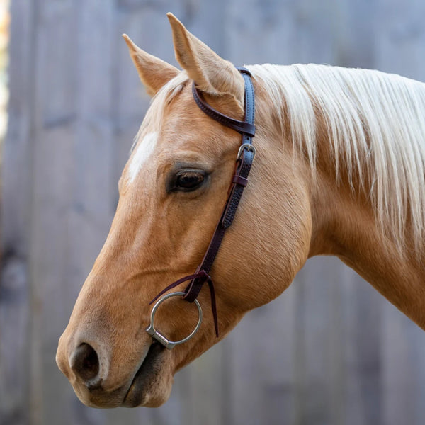 56002 Shires Velociti One Ear Headstall