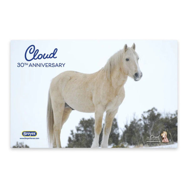 B-TR-10306 Breyer Traditional Cloud Wild Stallion of the Rockies 30th Anniversary Edition Horse