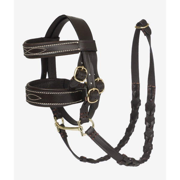 IT06295 LeMieux Toy Pony Hunter Bridle - Brown