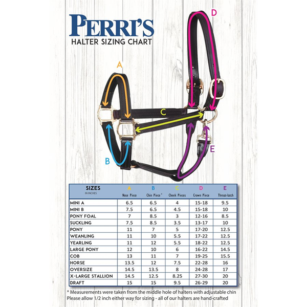 141 Perri's Leather 1