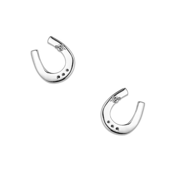QER6429 Montana Silversmiths Lucky Harmony Earrings