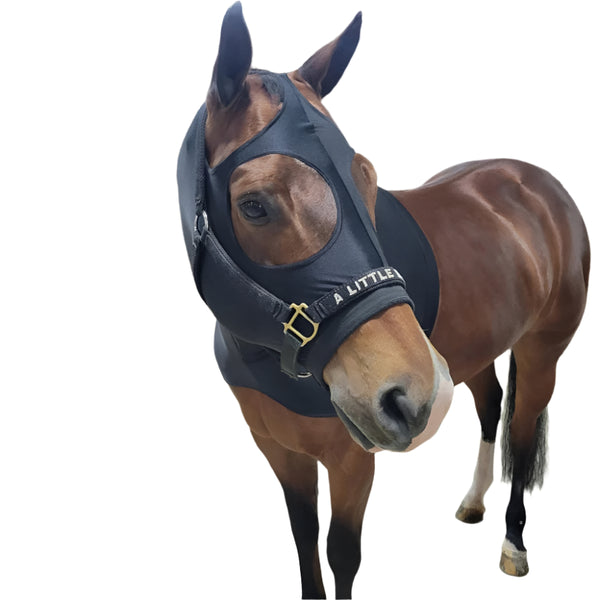 Full Spandex Hood from The Wire Horse - Solid Colors