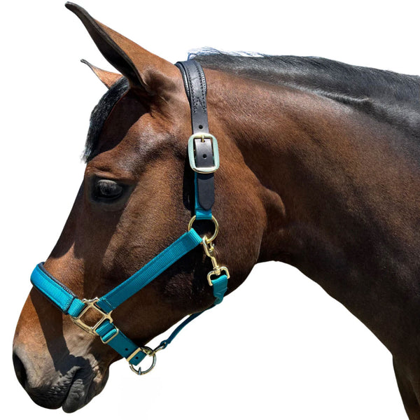 TH42 Premium Nylon Breakaway Halter with Padded Crown and Nose