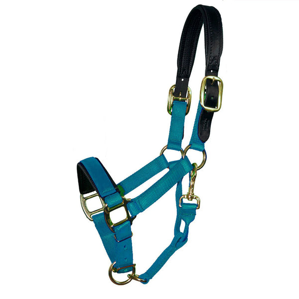 TH42 Premium Nylon Breakaway Halter with Padded Crown and Nose