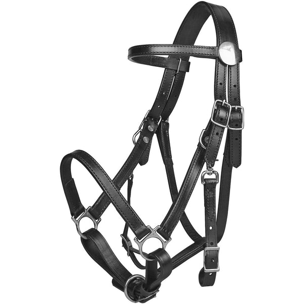 0114 Tucker Classic Standard Halter Bridle