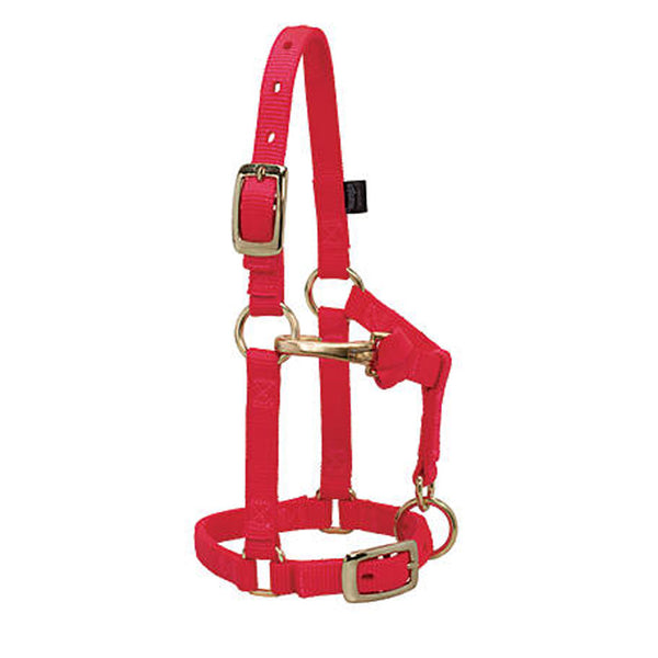 35-4800 Weaver Leather Miniature Horse Halter Adjustable Chin & Throat Snap