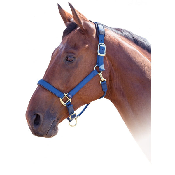 387L Shires Topaz Breakaway Padded Nylon Halter