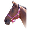 387L Shires Topaz Breakaway Nylon Horse Halter Padded Great Colors