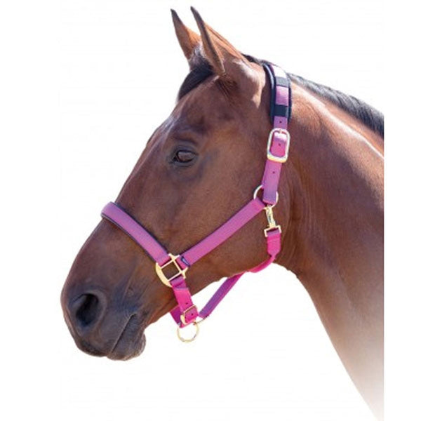 387L Shires Topaz Breakaway Padded Nylon Halter