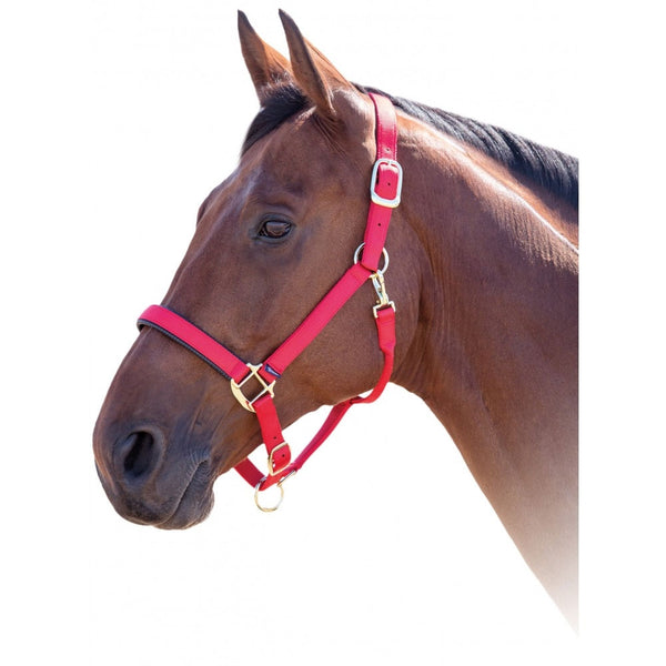 387L Shires Topaz Breakaway Padded Nylon Halter