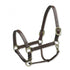 464279 Camelot Triple Stitched Leather Horse Halter - Brown