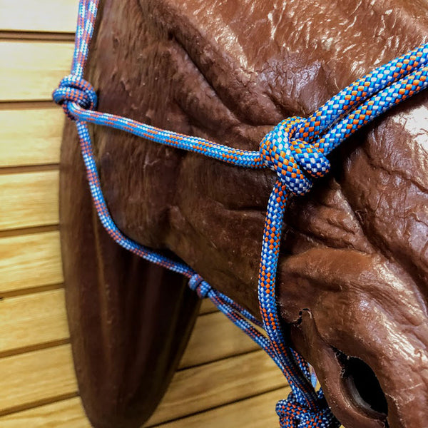 HR Professional's Choice Rope Halter