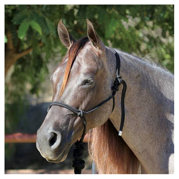 HR Professional's Choice Rope Halter