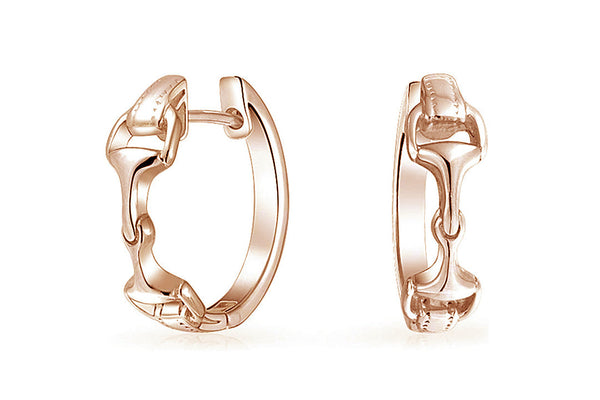 Equisite Golden Snaffle Bit Earrings