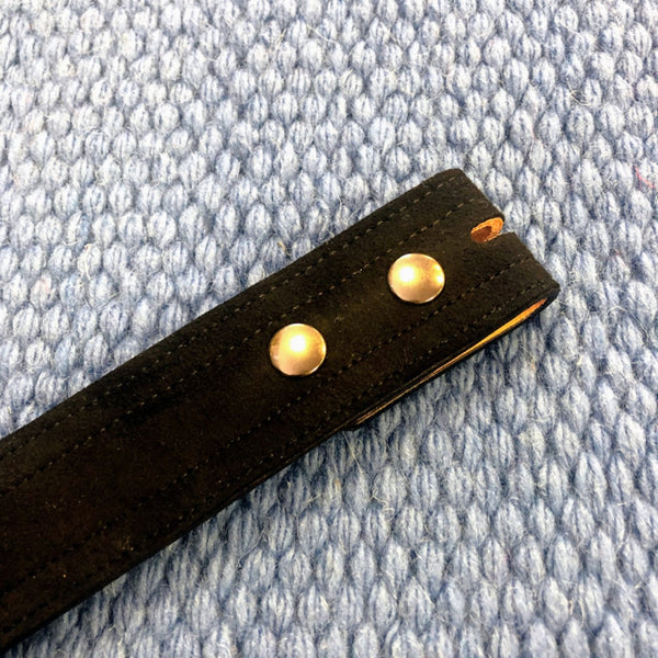 Wire Horse Women's Ultrasuede Black Western Show Belt - 1.5 Inch