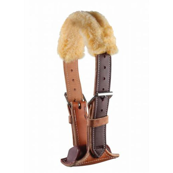 RD1240 Professional's Choice DARE Cribbing Control Collar