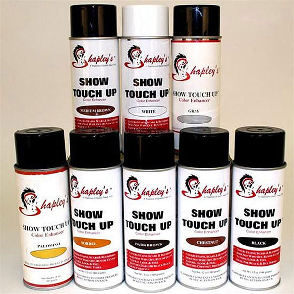 Shapley's Show Touch Up Color Enhancing Spray