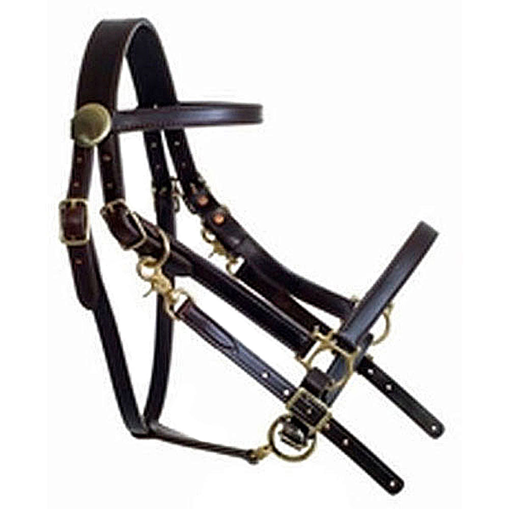 317 Halter Bridle Lite Horse Size The Wire Horse