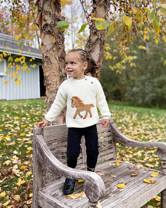 Pretty Pony Sweater the Cutest Sweater ever!