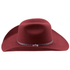 files/0870_Carmine_1.png