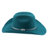 files/0870_Turquoise_1.png