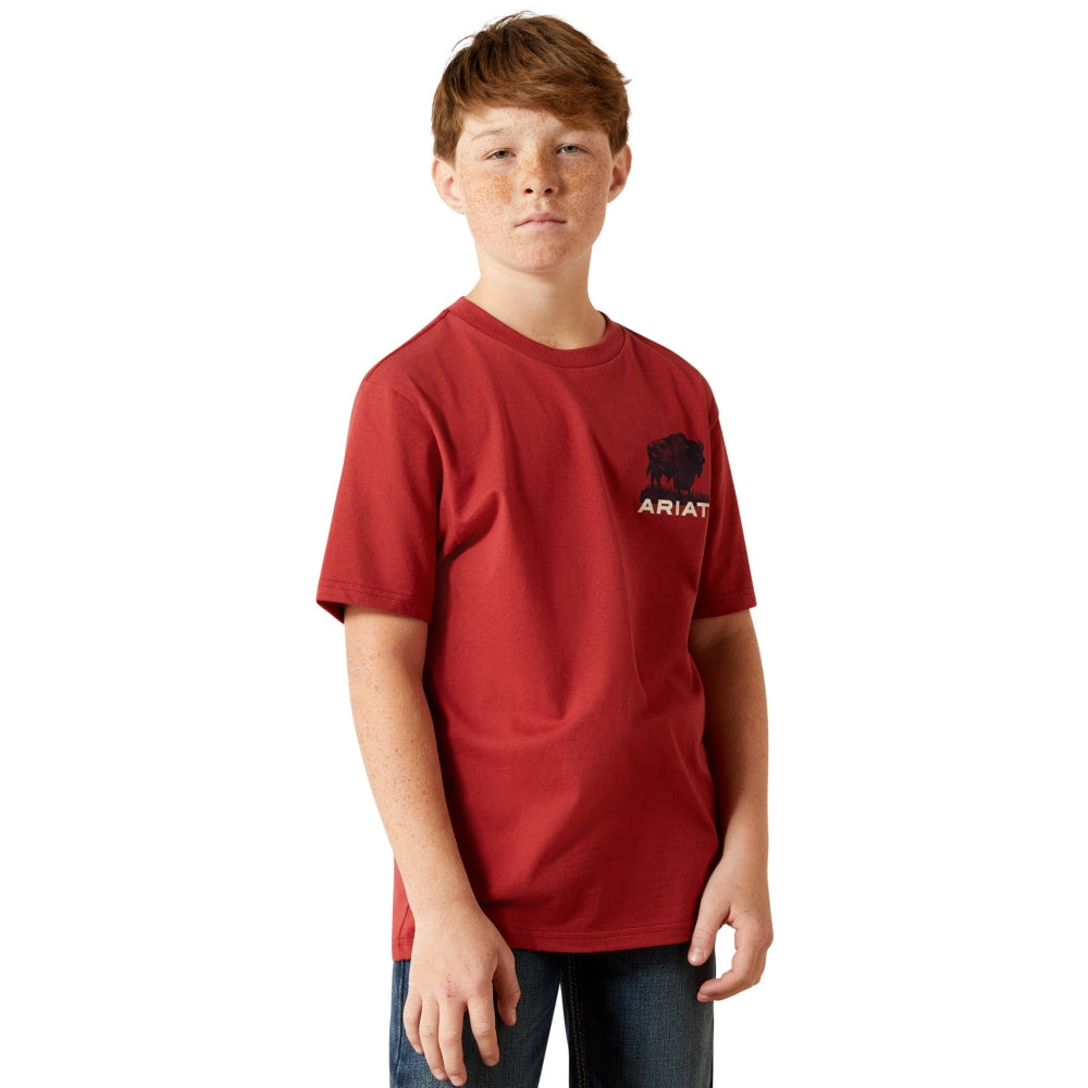 10065979 Ariat Boys' Buffalo Flag Short Sleeve T-Shirt - Brick Red