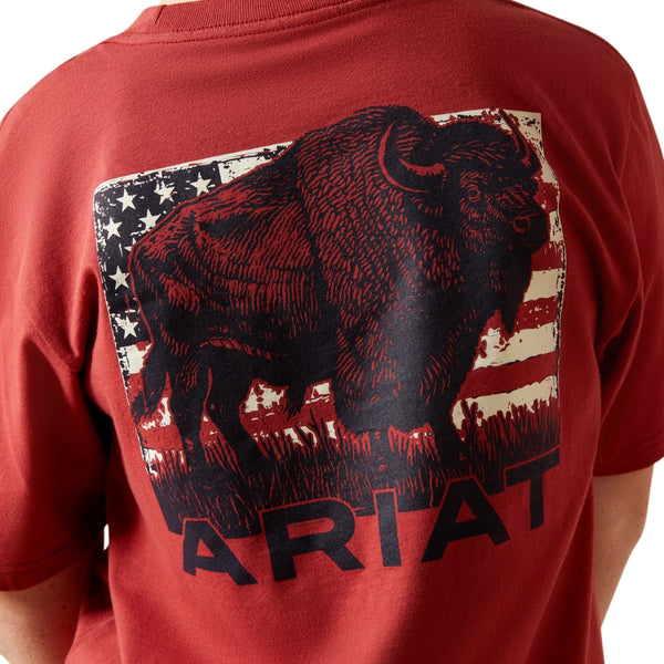 10065979 Ariat Boys' Buffalo Flag Short Sleeve T-Shirt - Brick Red