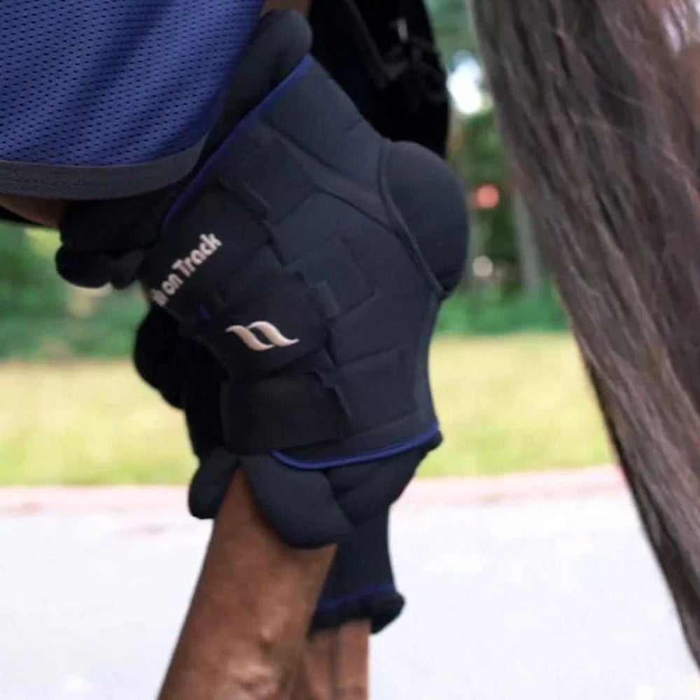 2022900 Back On Track Royal Padded Hock Boots Deluxe - Black
