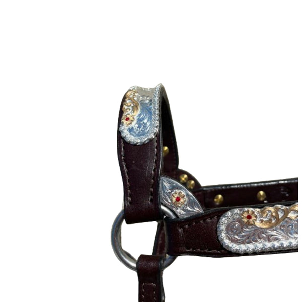 1231-210 Kathy's Show Halter Congress Cut with Red Stones - Mare