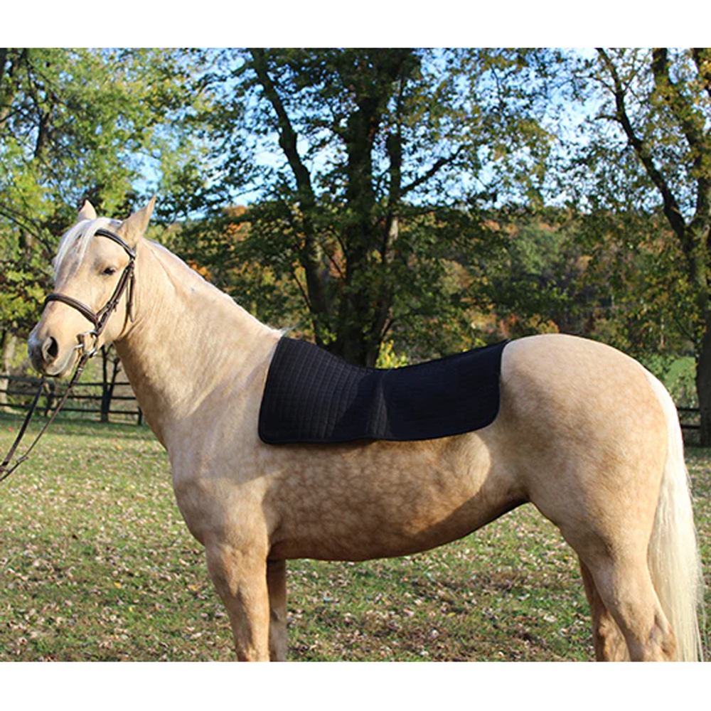 21330000 Back On Track Western Saddle Pad Liner - Black