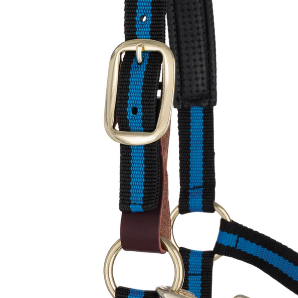 35-6065-BL Weaver Leather Padded Breakaway Adjustable Chin & Throat Snap Halter - Blue Striped