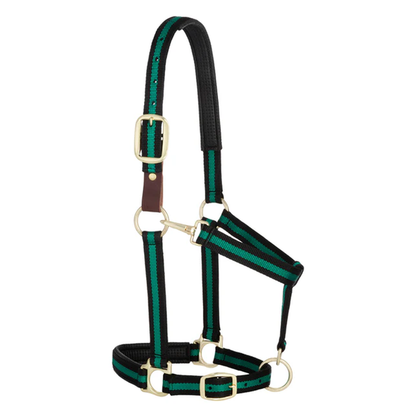 35-6065-GR Weaver Leather Padded Breakaway Adjustable Chin & Throat Snap Halter - Green Striped