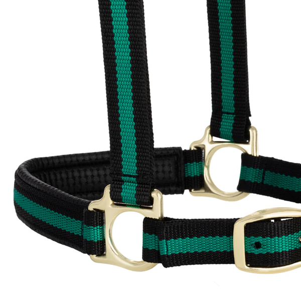 35-6065-GR Weaver Leather Padded Breakaway Adjustable Chin & Throat Snap Halter - Green Striped