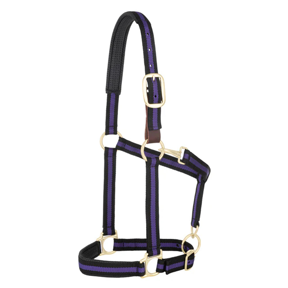 35-6065-PU Weaver Leather Padded Breakaway Adjustable Chin & Throat Snap Halter - Purple Striped