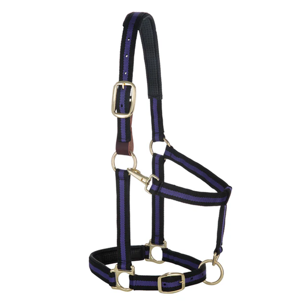 35-6065-PU Weaver Leather Padded Breakaway Adjustable Chin & Throat Snap Halter - Purple Striped