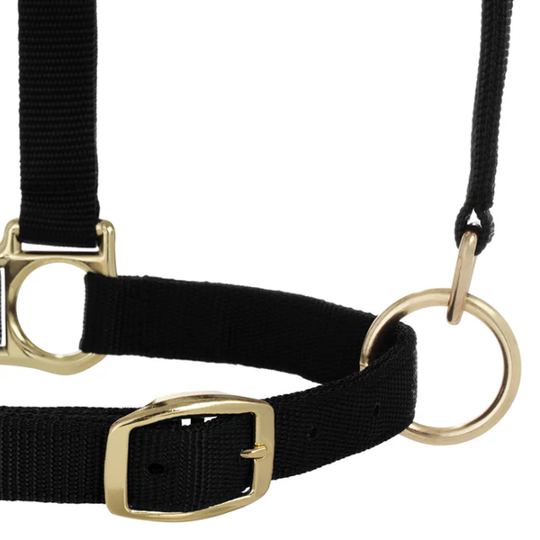 35-6075-BK Weaver Leather Padded Breakaway Adjustable Chin and Throat Snap Halter - Solid Black