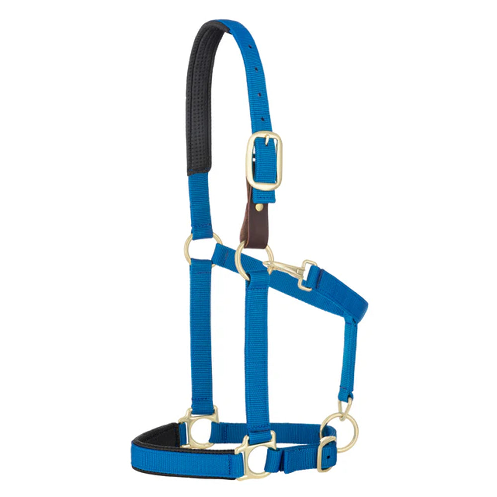 35-6075-BL Weaver Leather Padded Breakaway Adjustable Chin and Throat Snap Halter - Solid Blue